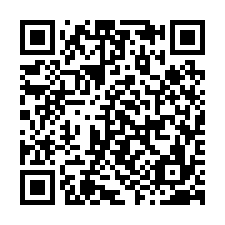 QR code for H93236