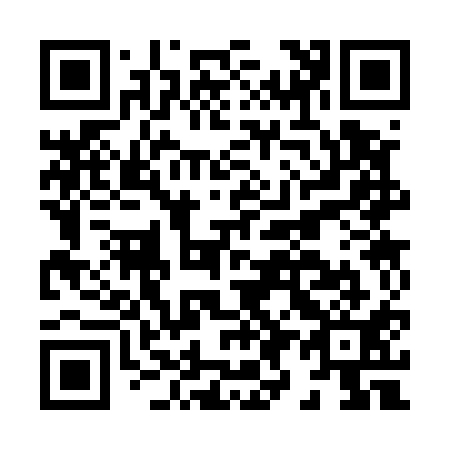QR code for H93511