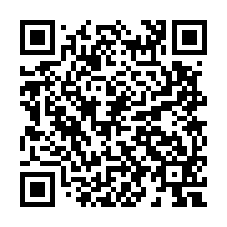 QR code for H93593