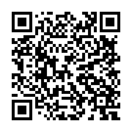 QR code for H93846