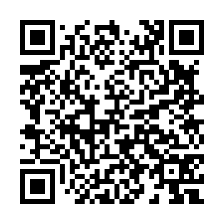QR code for H93874