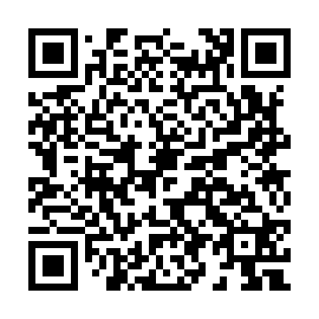 QR code for H93920