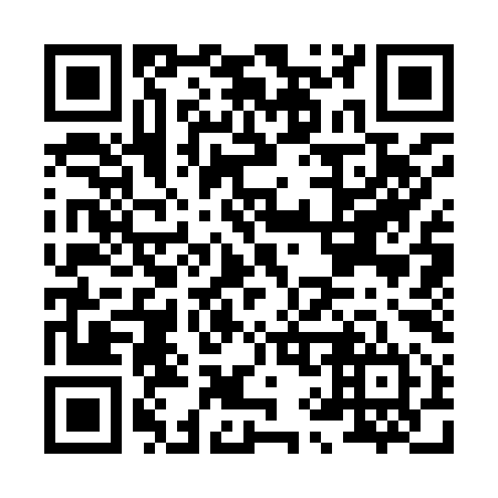 QR code for H93994