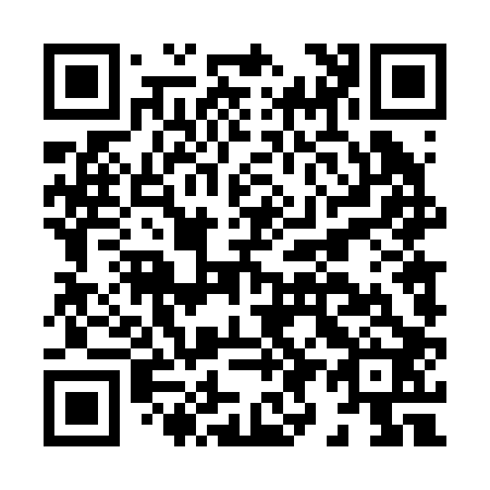 QR code for H94202