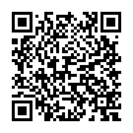 QR code for H95119