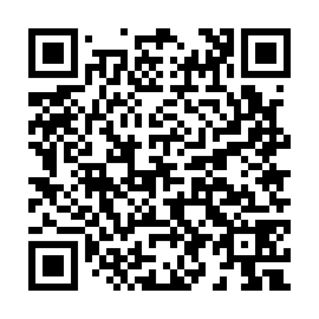 QR code for H95178