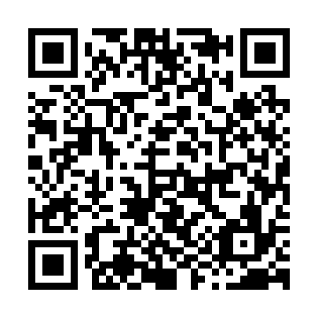 QR code for H95236