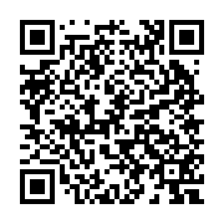 QR code for H95251