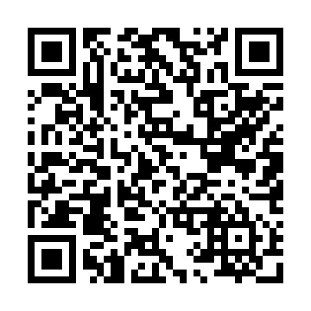 QR code for H95255