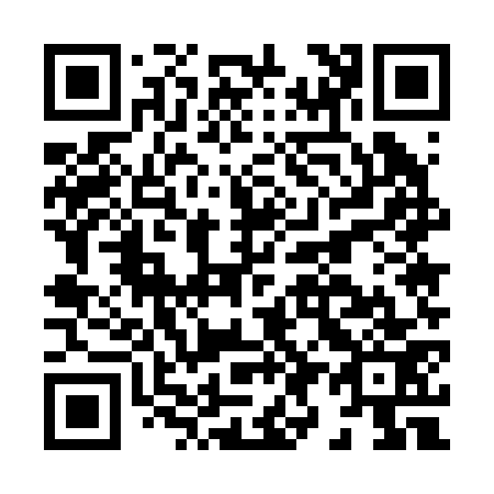 QR code for H95273