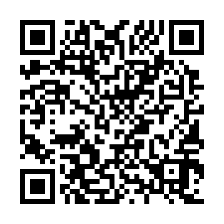 QR code for H95312