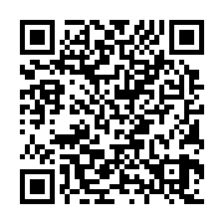 QR code for H95329