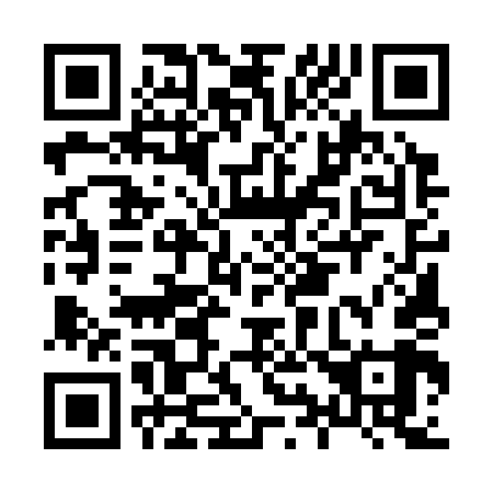 QR code for H95349