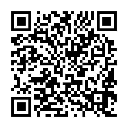 QR code for H95393