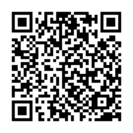 QR code for H95508