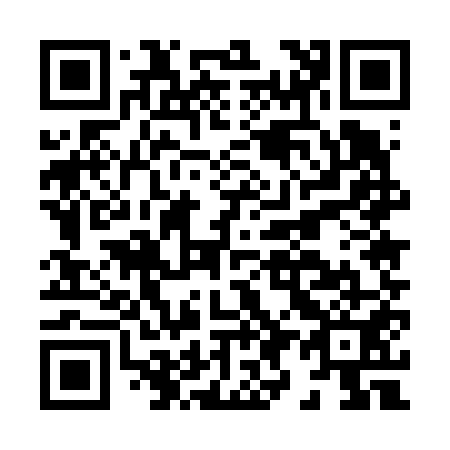 QR code for H95651
