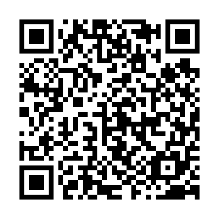 QR code for H95655
