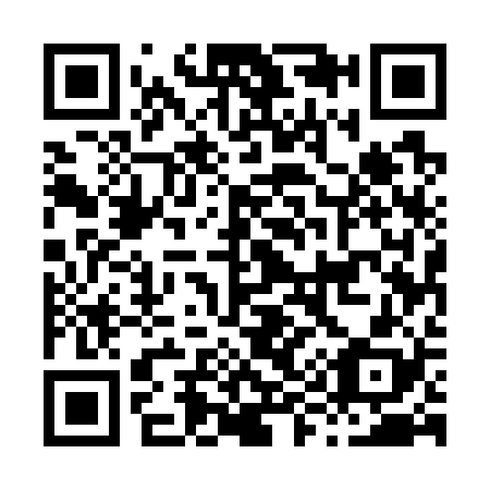 QR code for H95728