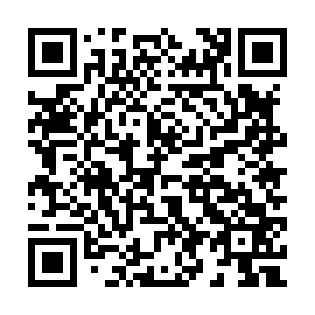 QR code for H95863
