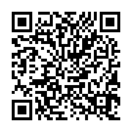 QR code for H95907