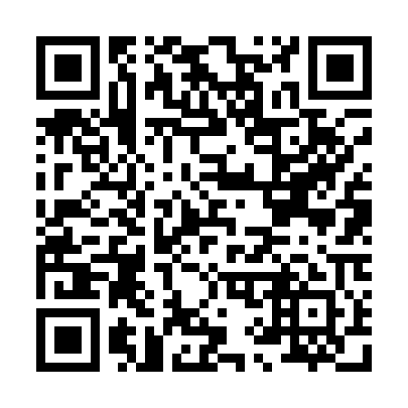 QR code for H96101