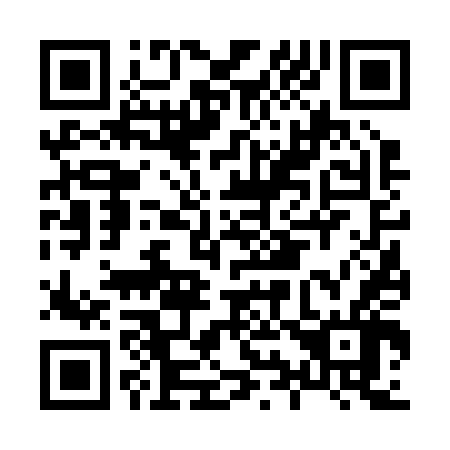QR code for H96246