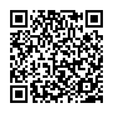 QR code for H96315