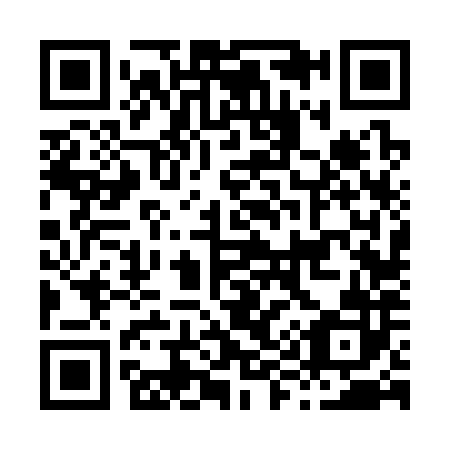 QR code for H96382