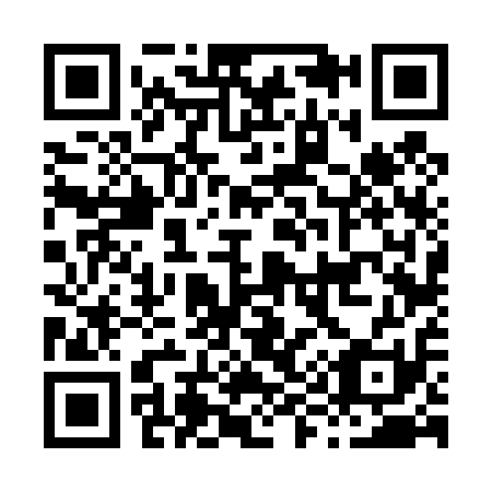 QR code for H96411