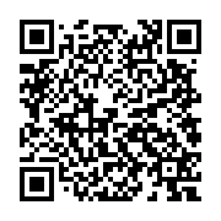 QR code for H96521