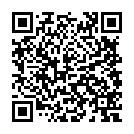 QR code for H96819