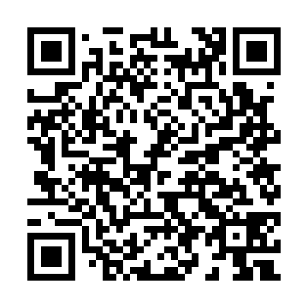 QR code for H97138
