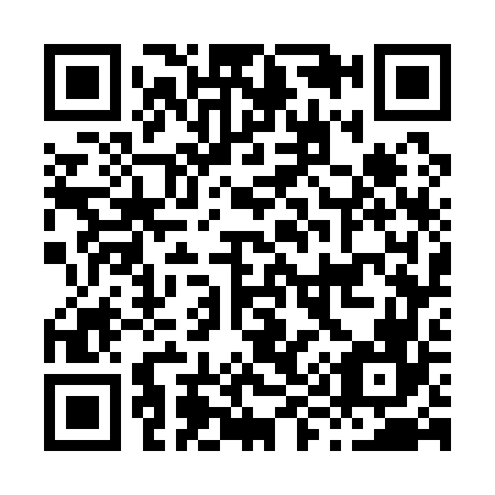 QR code for H97166