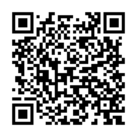 QR code for H97953