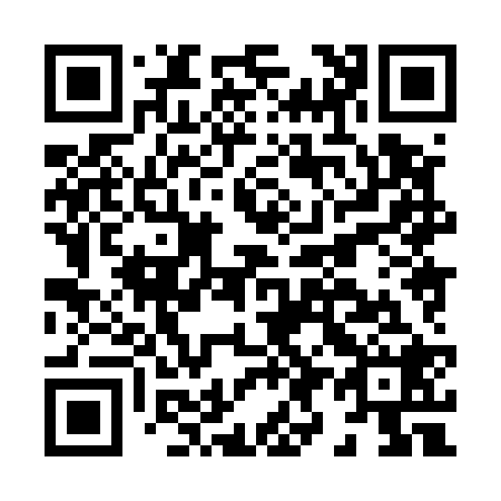QR code for H98528