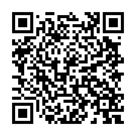 QR code for H99066