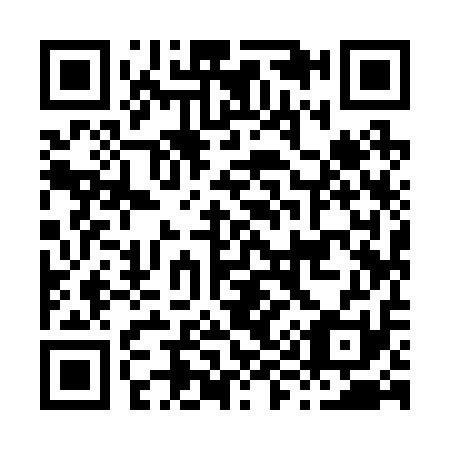 QR code for H99211
