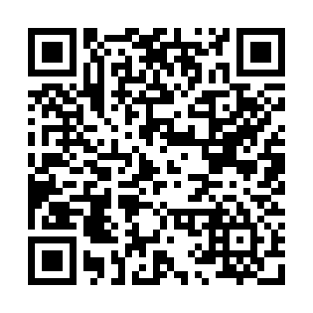 QR code for H99335