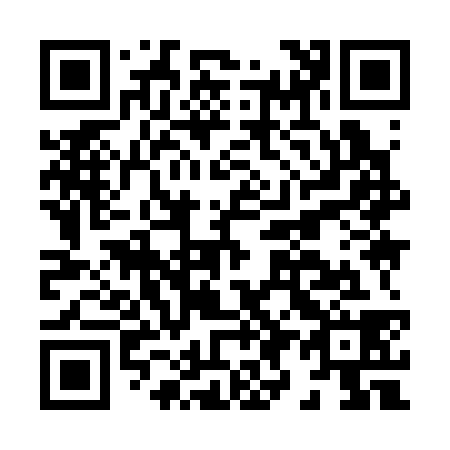 QR code for H99338