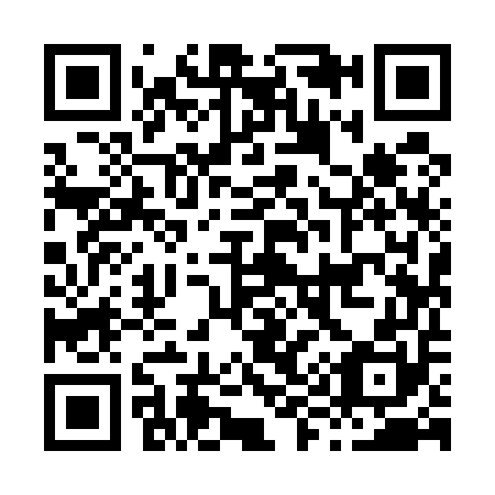 QR code for H99550