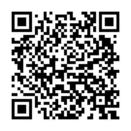 QR code for H99619