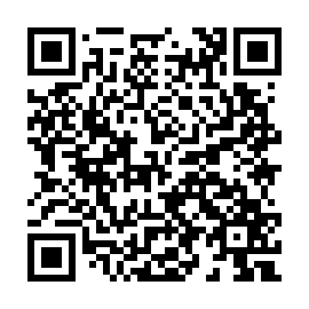 QR code for H99767