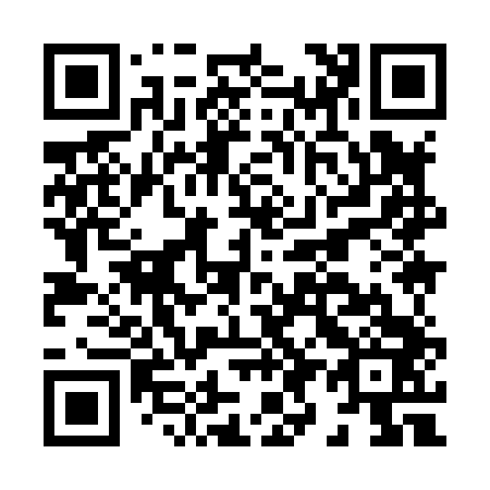 QR code for H99843