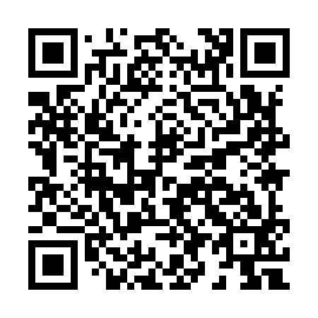 QR code for H99993