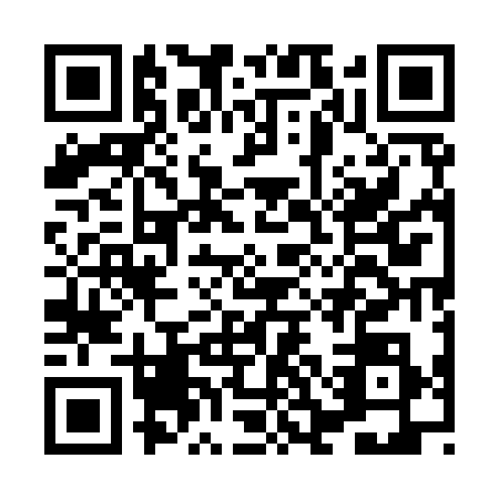 QR code for plate HCE-9385