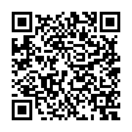 QR code for plate HCO-8546