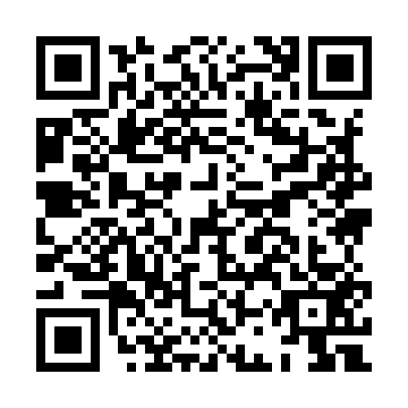 QR code for plate HCY-9538