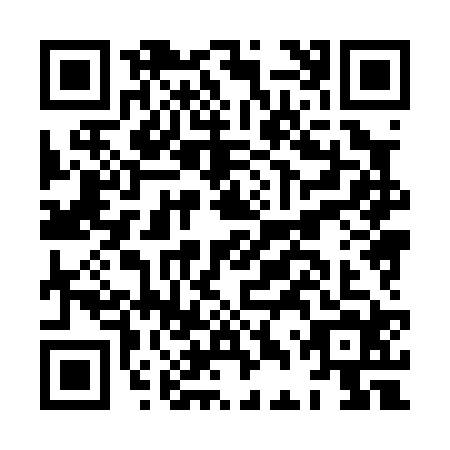 QR code for plate HDX-0243