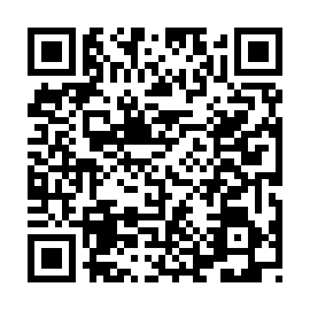 QR code for HEX9668