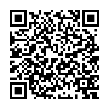 QR code for HGS-2738